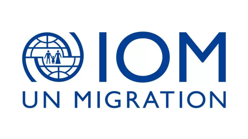 2848-pd-consultant-to-support-30-anniversary-iom-switzerland